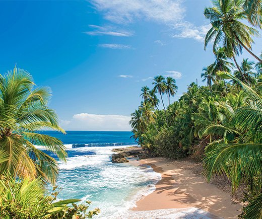 Caribbean Cruises | MSC Cruises