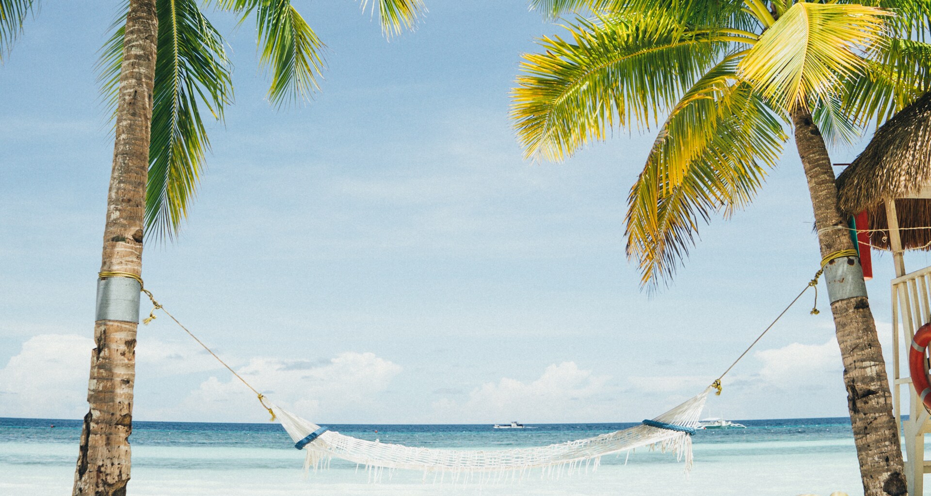 expandable-full-white-left expandable-full-white-left