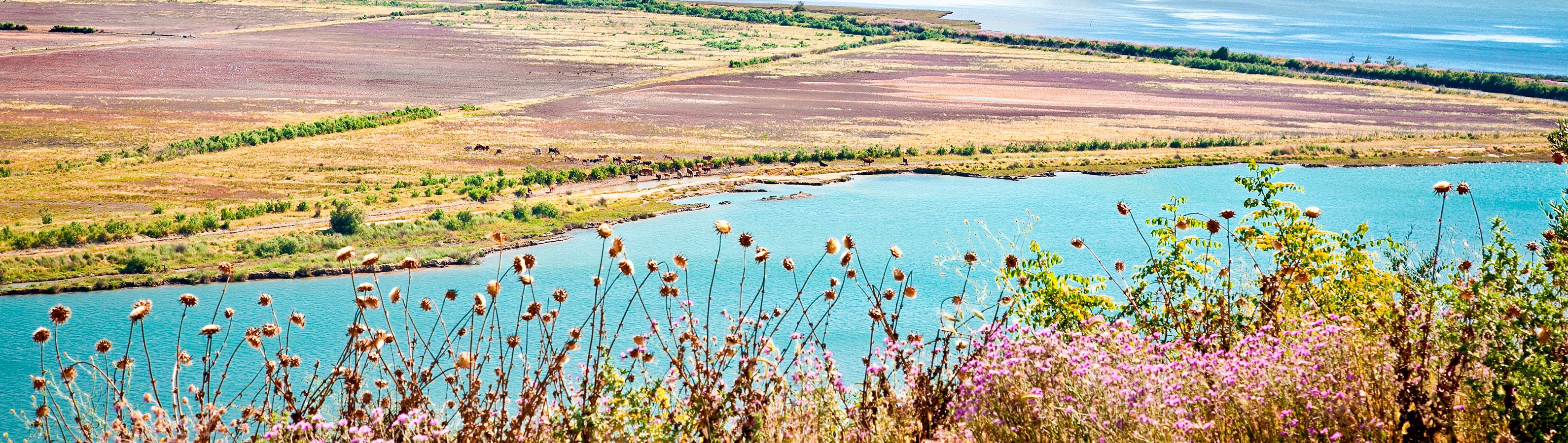 itineraryImageDesktop