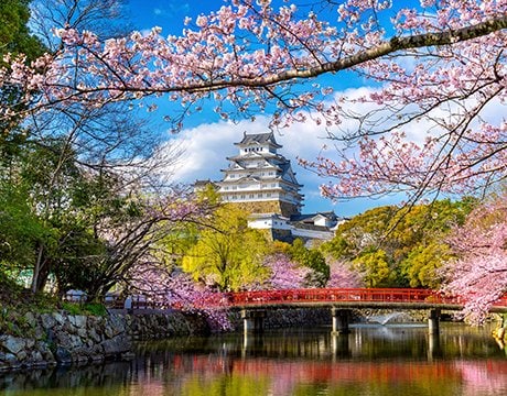 Asia cruises | MSC Cruises