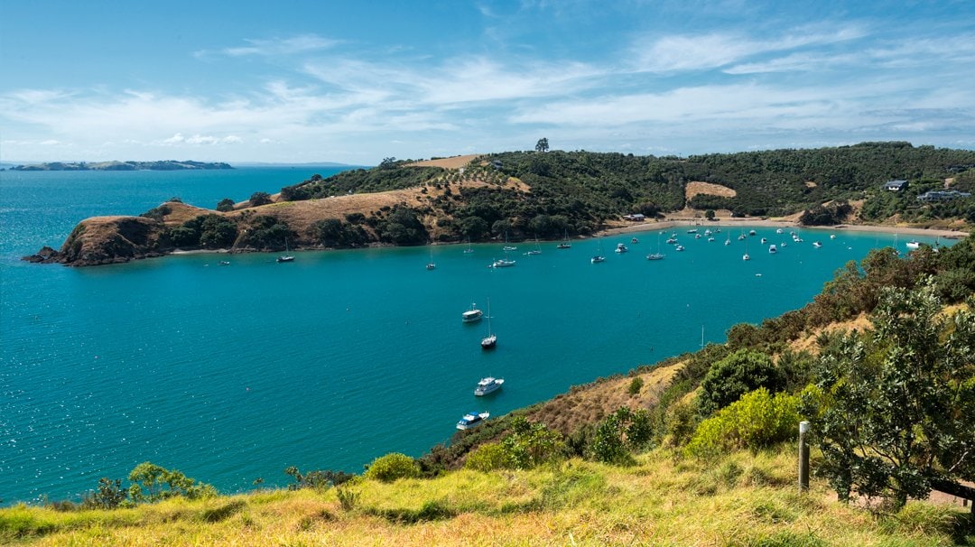 MSC World Cruise, Auckland | MSC Cruises MSC World Cruise, Auckland | MSC Cruises