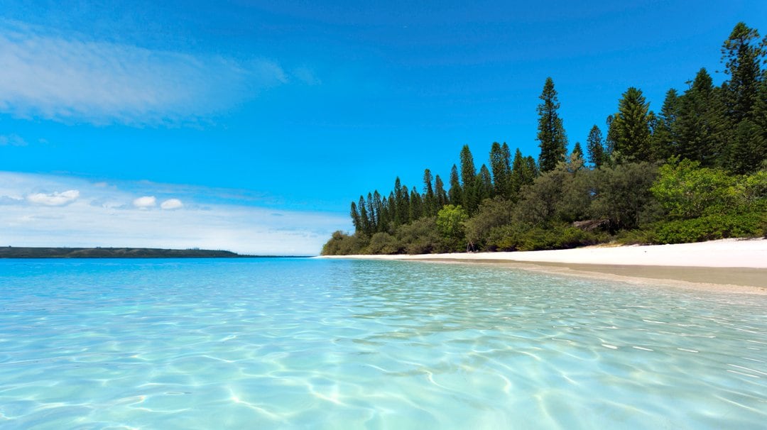 MSC World Cruise, Iles Des Pins | MSC Cruises MSC World Cruise, Iles Des Pins | MSC Cruises