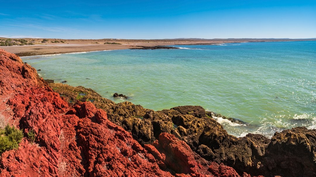 MSC World Cruise, Puerto Madryn | MSC Cruises MSC World Cruise, Puerto Madryn | MSC Cruises