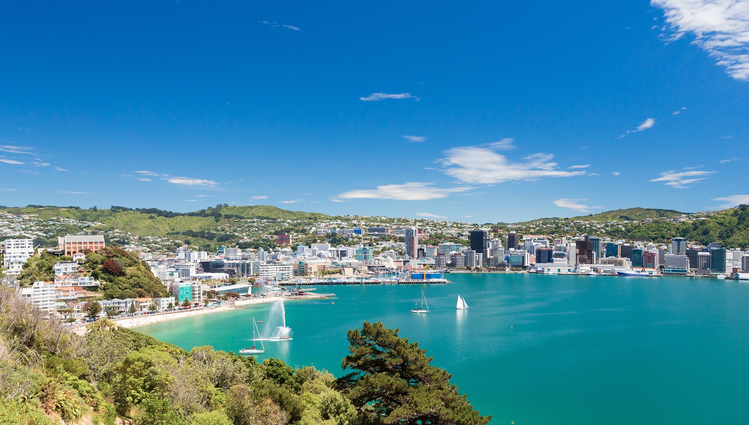 MSC World Cruise, Wellington | MSC Cruises MSC World Cruise, Wellington | MSC Cruises