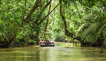 Tortuguero Canals, Costa Rica | MSC Cruises