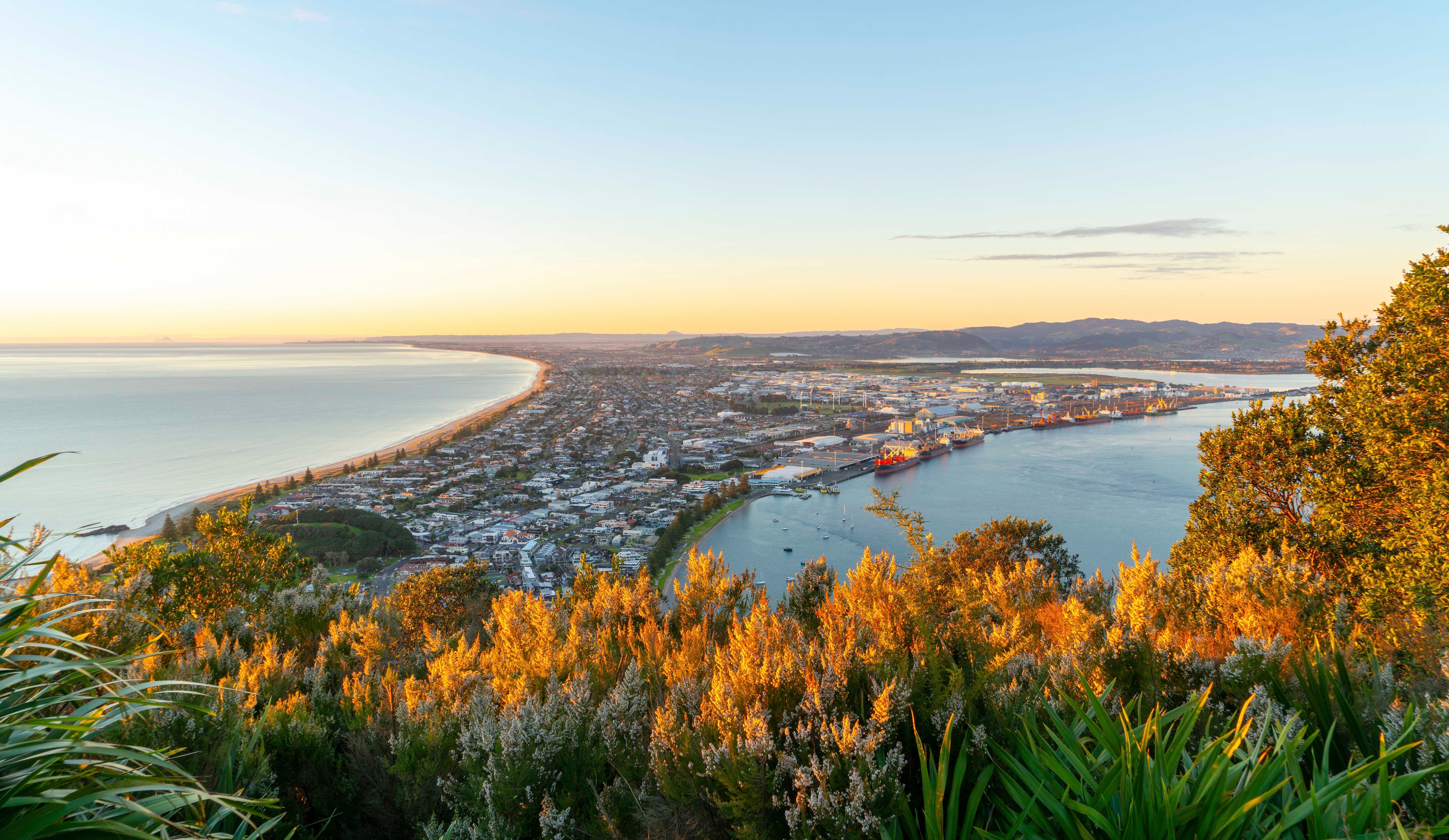 MSC World Cruise 2027, Tauranga - Landscape| MSC Cruises MSC World Cruise 2027, Tauranga - Landscape| MSC Cruises