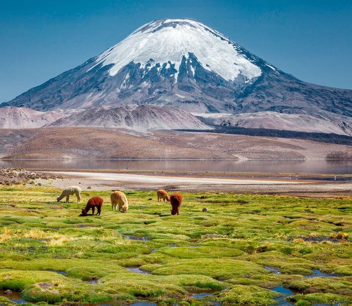 Arica, Chile | MSC Cruises Arica, Chile | MSC Cruises