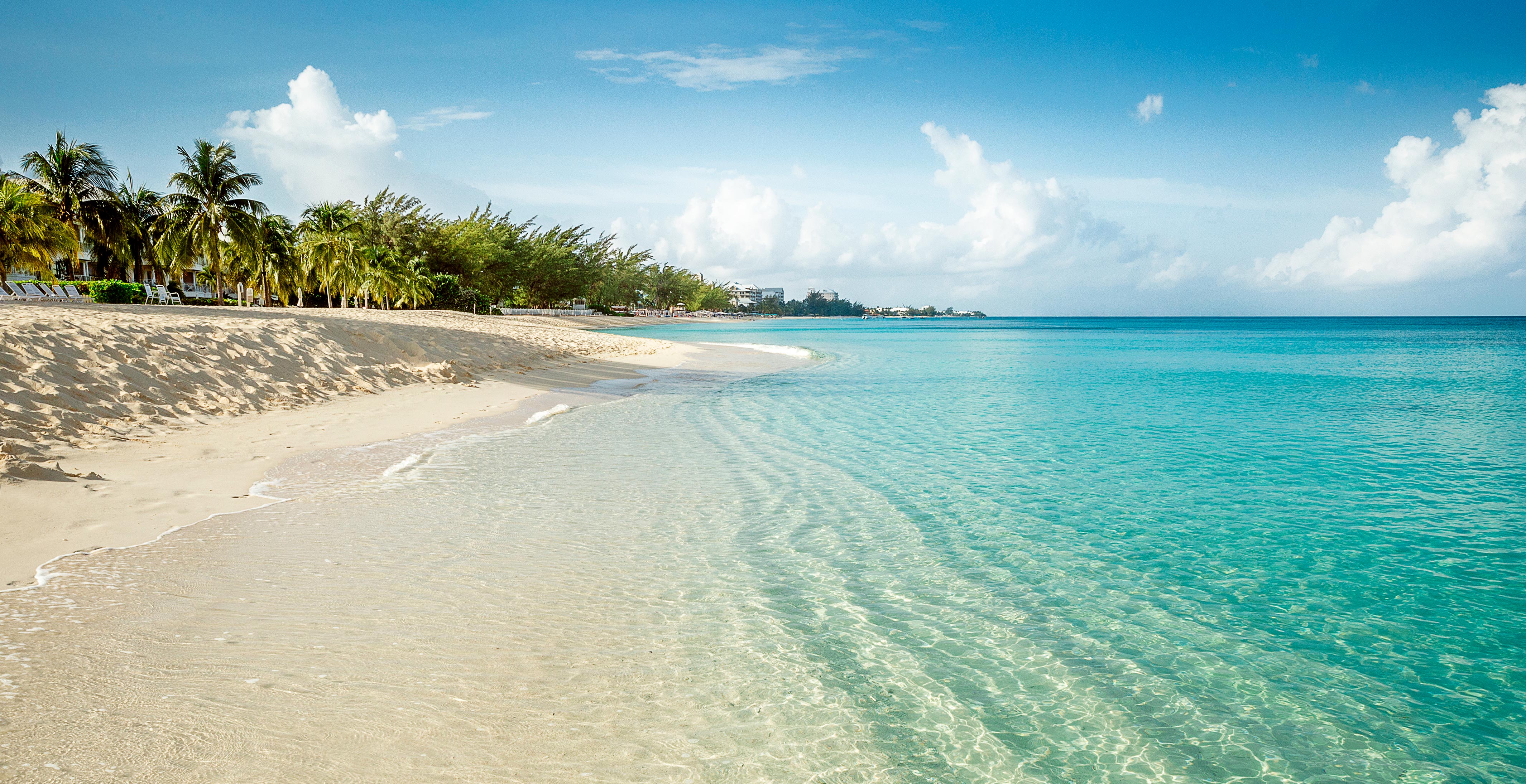 A pristine tropical beach with turquoise waters and palm trees | MSC Cruises