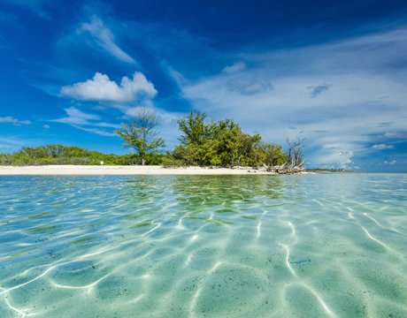 Caribbean and Antilles | MSC Cruises