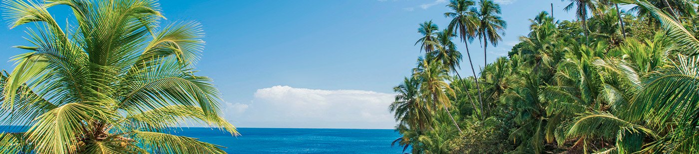 Croisières dans les Caraïbes | MSC Croisières Croisières dans les Caraïbes | MSC Croisières