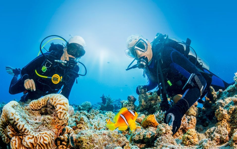 Two scuba divers exploring vibrant coral reefs with a clownfish in clear blue water | MSC Cruises Two scuba divers exploring vibrant coral reefs with a clownfish in clear blue water | MSC Cruises