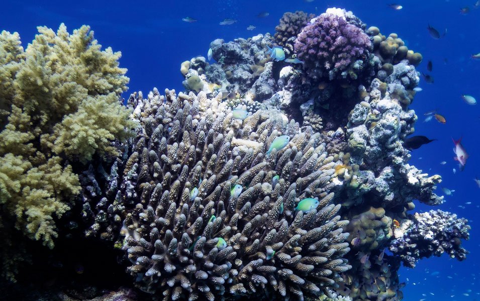 Reducing environmental impact Reducing environmental impact