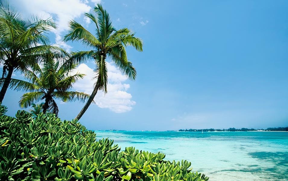 Caribbean & The Bahamas - MSC Cruises Caribbean & The Bahamas - MSC Cruises