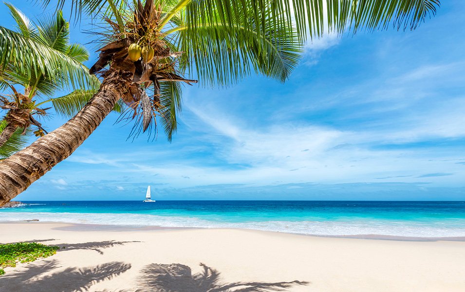 Caribbean, Summer cruises | MSC Cruises Caribbean, Summer cruises | MSC Cruises