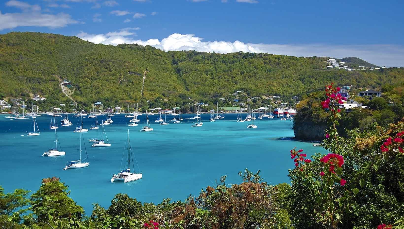 Sailboats anchored in a turquoise bay surrounded by lush green hills and vibrant flowers | MSC Cruises