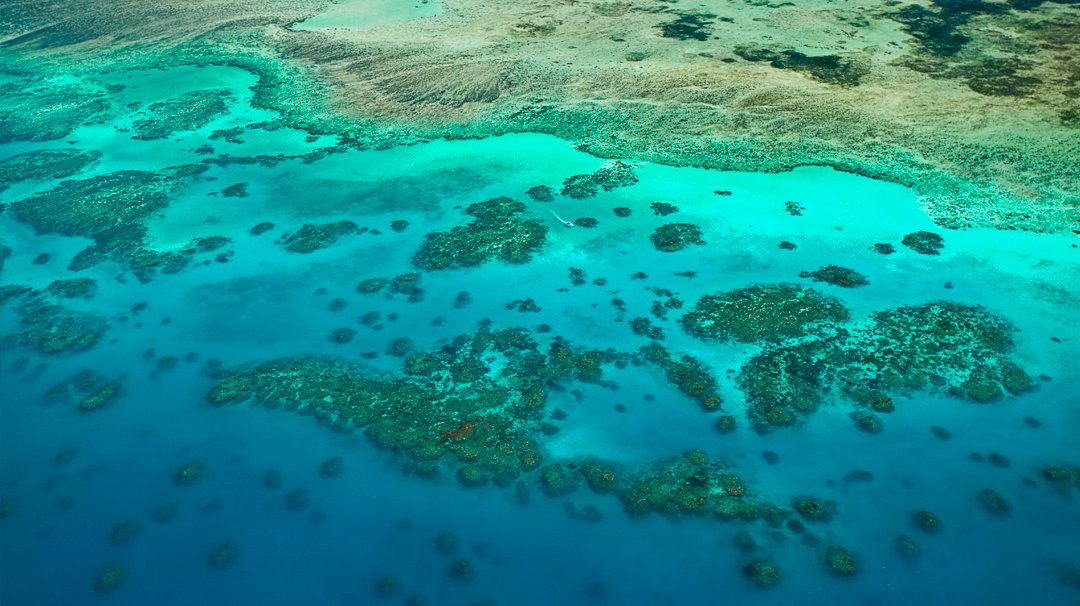 MSC World Cruise, Cairns | MSC Cruises