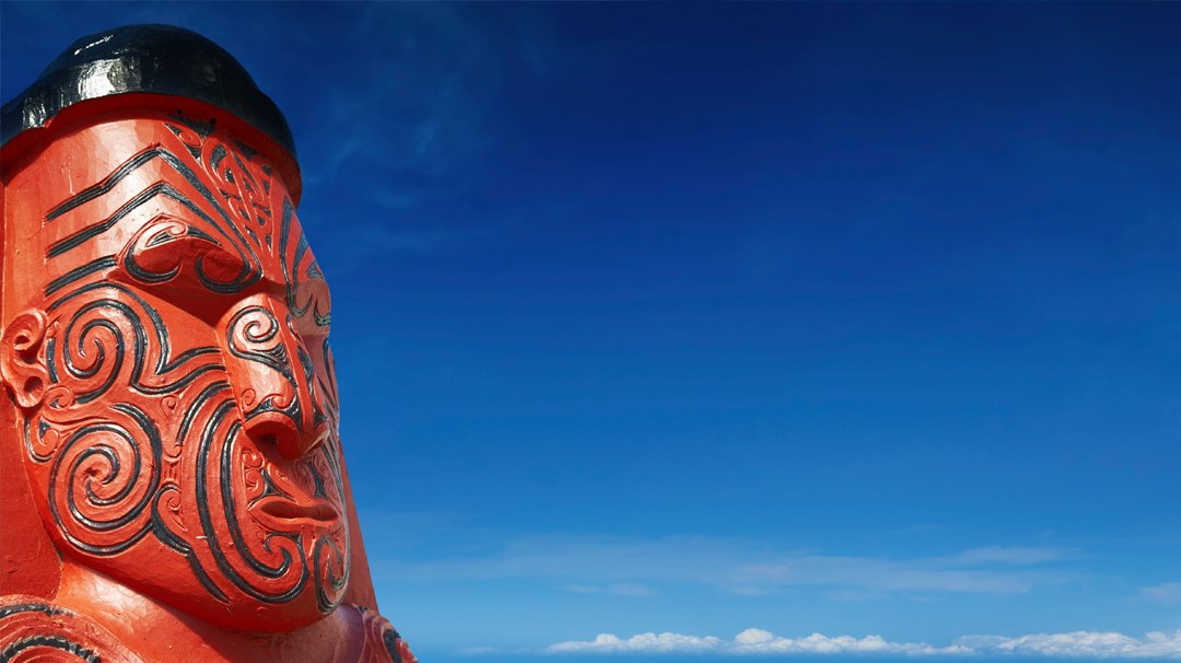 MSC World Cruise, Napier | MSC Cruises