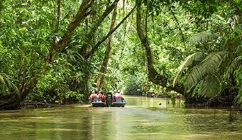 Tortuguero Canals, Costa Rica | MSC Cruises Tortuguero Canals, Costa Rica | MSC Cruises