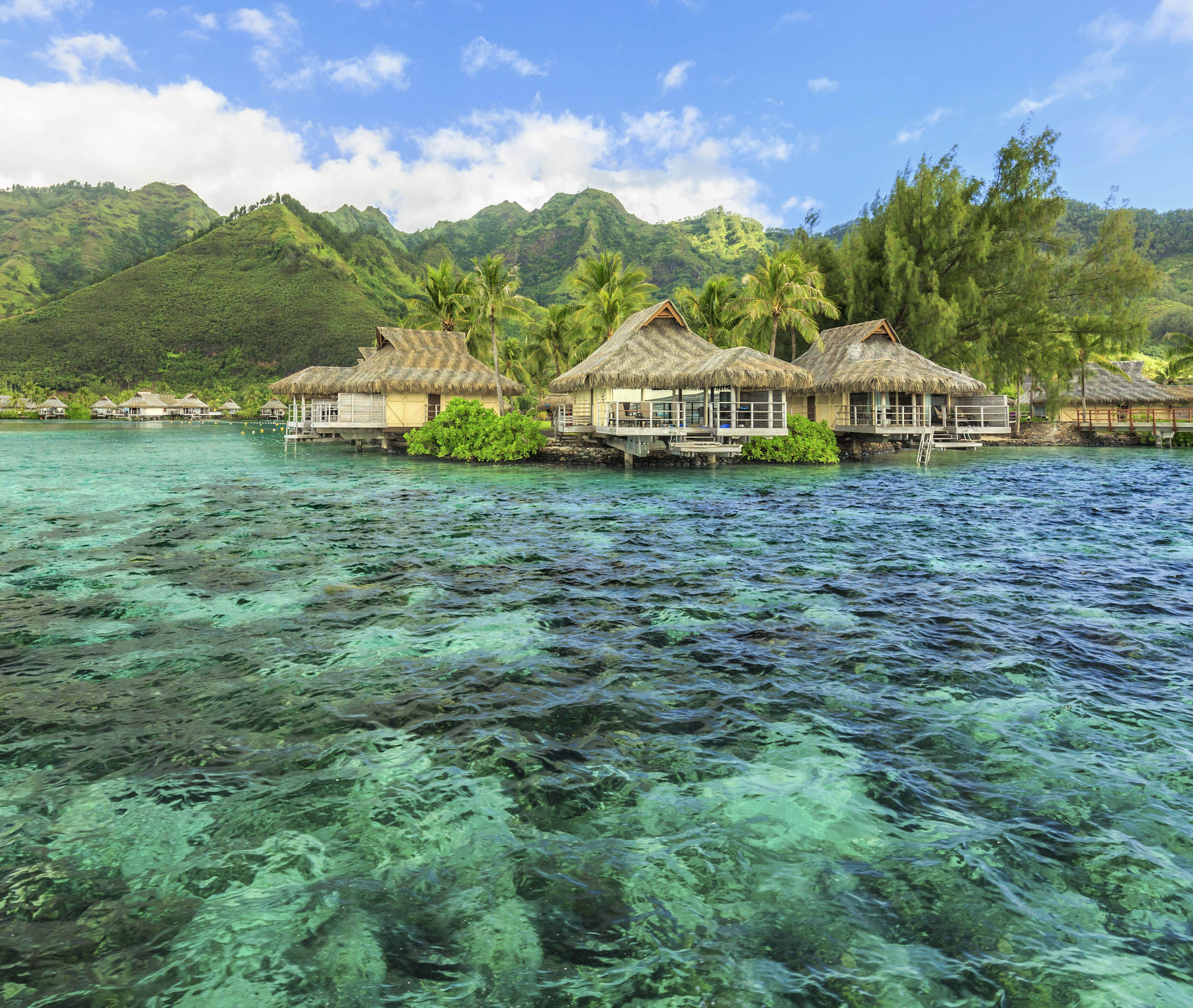 MSC World Cruise 2027, Papeete| MSC Cruises MSC World Cruise 2027, Papeete| MSC Cruises