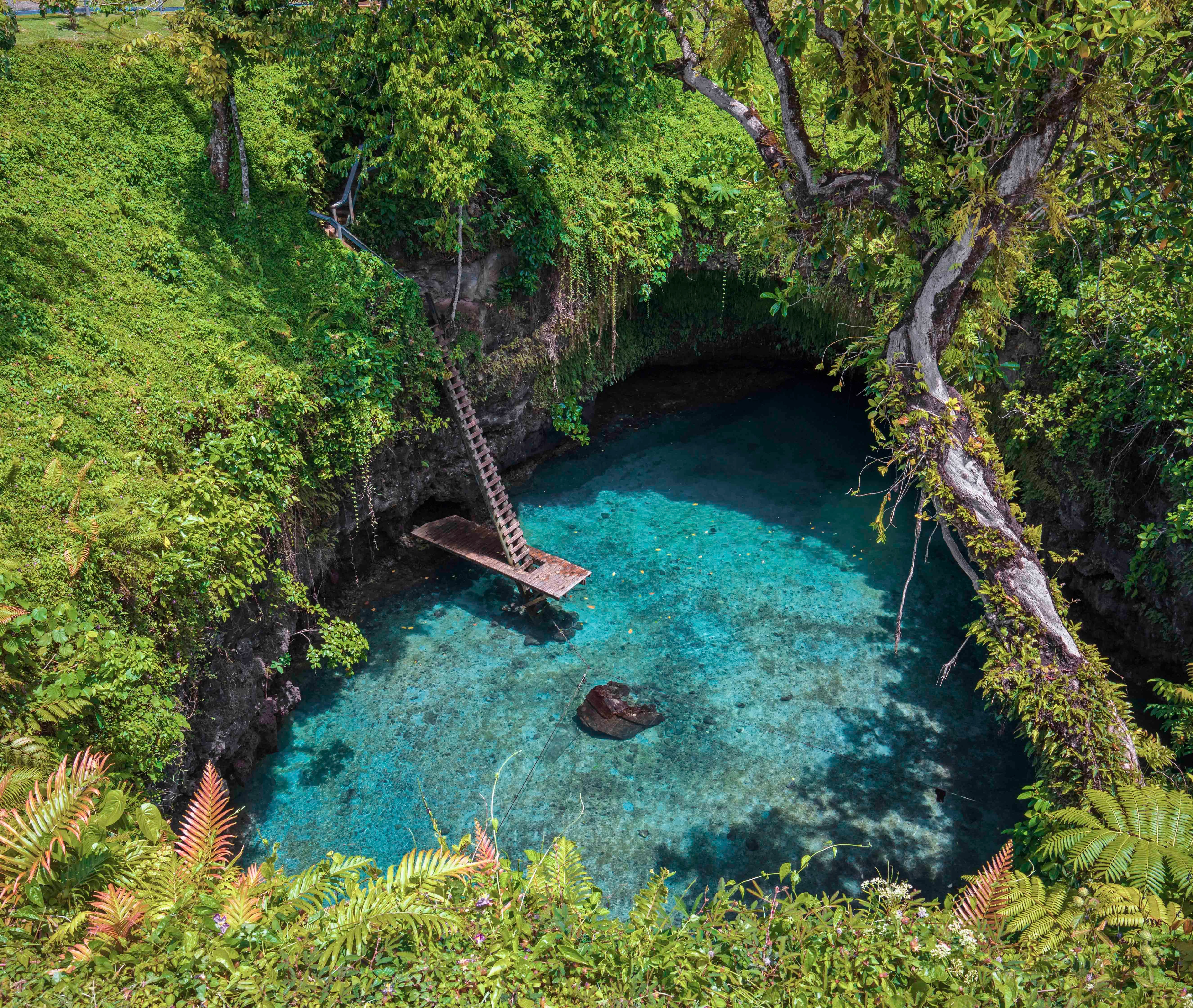 MSC World Cruise 2027, Apia| MSC Cruises MSC World Cruise 2027, Apia| MSC Cruises