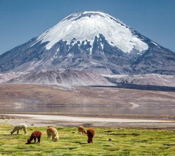 MSC World Cruise 2028 | MSC Cruises MSC World Cruise 2028 | MSC Cruises