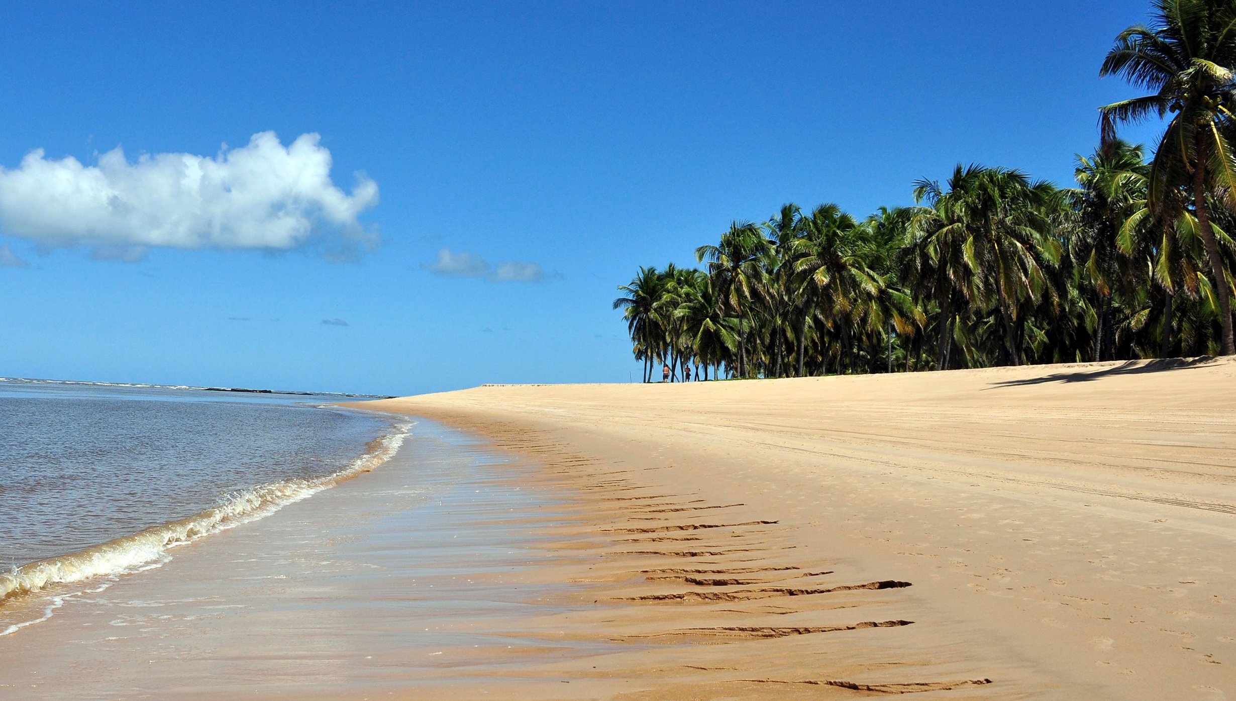 Maceio Cruise Maceio Cruise