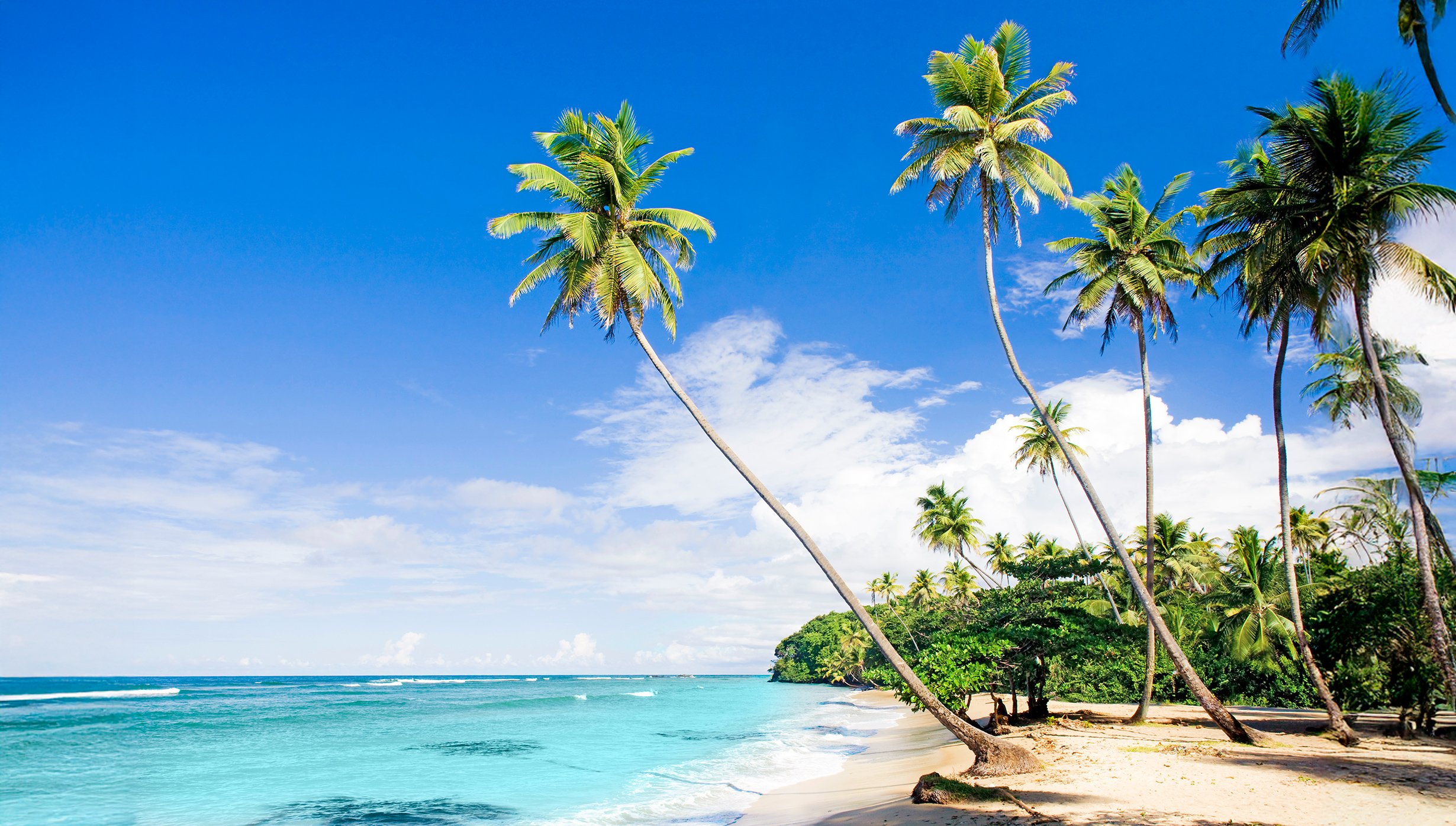 La Romana Cruise La Romana Cruise