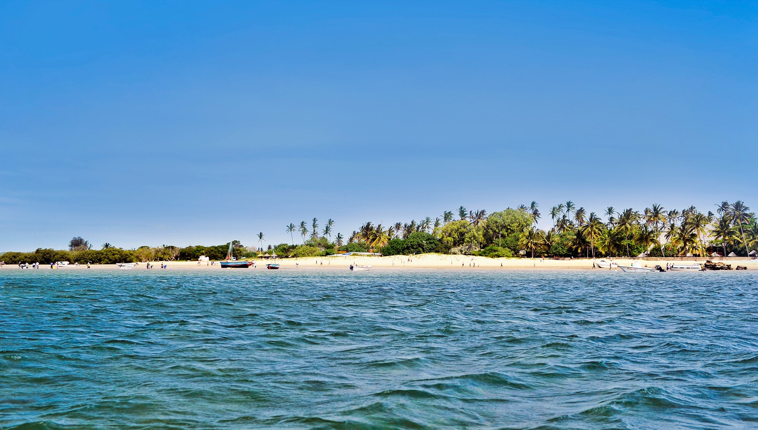 A tropical beach with palm trees and boats on clear blue waters | MSC Cruises A tropical beach with palm trees and boats on clear blue waters | MSC Cruises