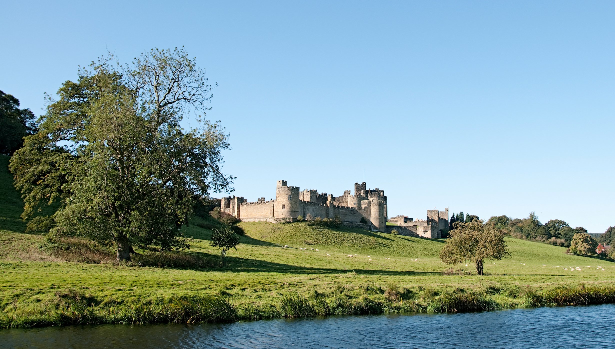 Newcastle upon Tyne Cruise Newcastle upon Tyne Cruise