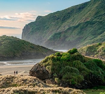 Côte et collines verdoyantes de la région de Timaru, Nouvelle-Zélande