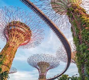 Supertree Grove des Gardens by the Bay à Singapour