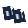 travel_insurance_icon
